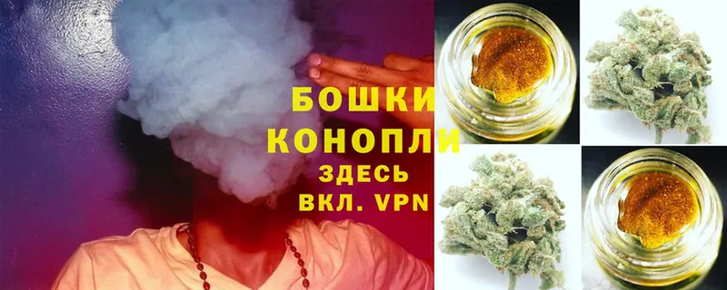 ссылка на мегу маркетплейс  продажа наркотиков  Белокуриха  Бошки Шишки Ganja 